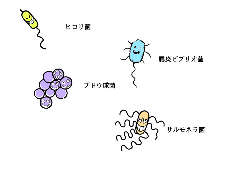 健康に寄与する細菌達【ＦＦＣ講座③】