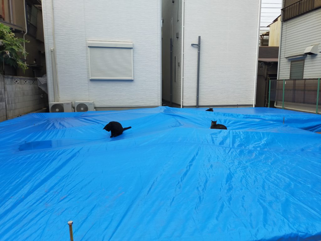足立区新築注文住宅S様邸 ネコ警備保障今日も活躍🏡