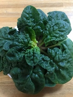 冬が旬の野菜です！