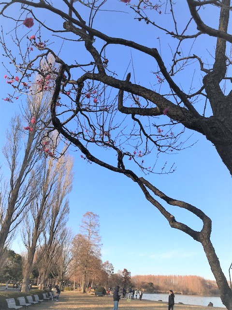 新年おめでとうございます🎍