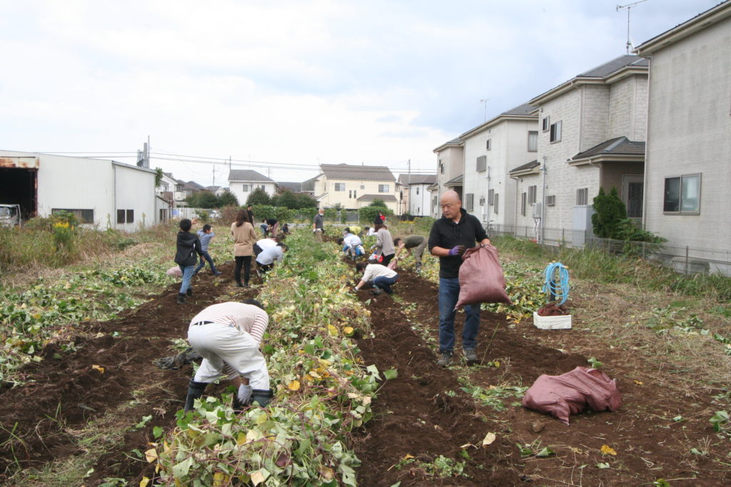 都市工房　秋の芋ほり大会 in 早川ファーム🍠