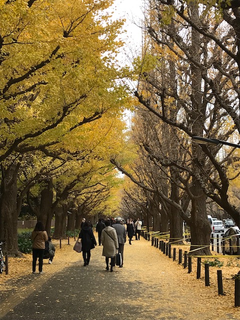 師走です🎄