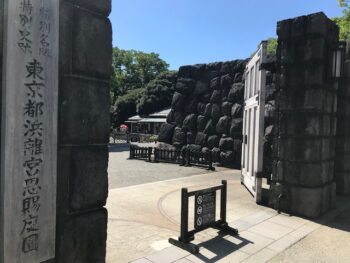 移りゆく東京 浜離宮恩賜庭園(はまりきゅうおんしていえん) 都市工房通信10月号発行しました🍂