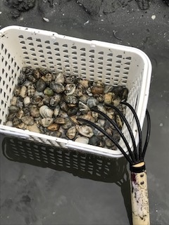楽しかったゴールデンウィーク part2