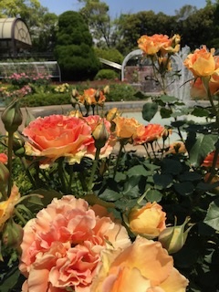 レジ袋300枚! 6月は環境月間です😊