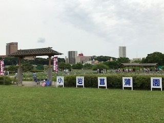 小岩菖蒲園に行ってきました!