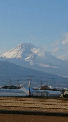 もうすぐ春♪