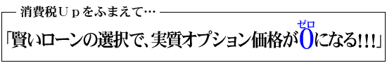 賢いローンの選択で、実質オプション価格が０になる！！！